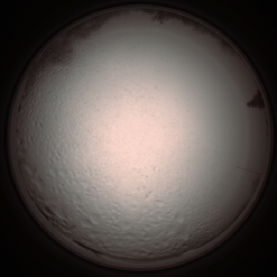 capture_202112051406_1258.Png