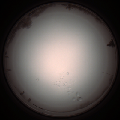 capture_202112051211_1143.Png