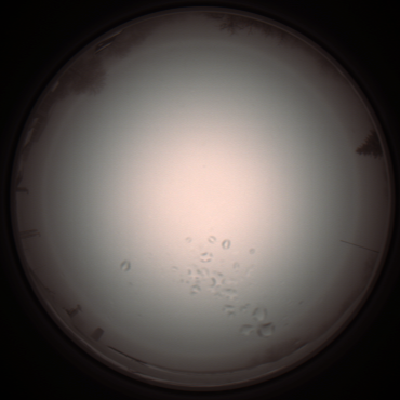capture_202112051102_1074.Png