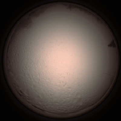 capture_202112051512_1324.Png