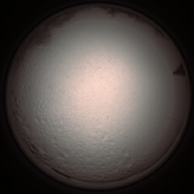capture_202112051354_1246.Png
