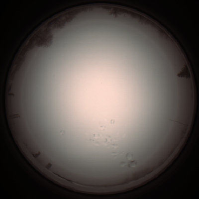 capture_202112051301_1193.Png