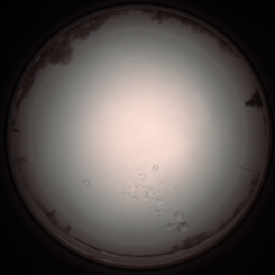 capture_202112051154_1126.Png