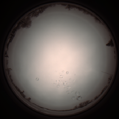 capture_202112051128_1100.Png