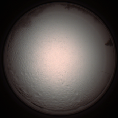 capture_202112051404_1256.Png