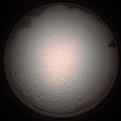 capture_202112051352_1244.Png