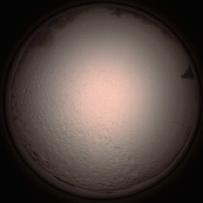 capture_202112051527_1339.Png