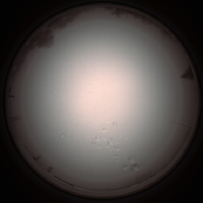 capture_202112051329_1221.Png