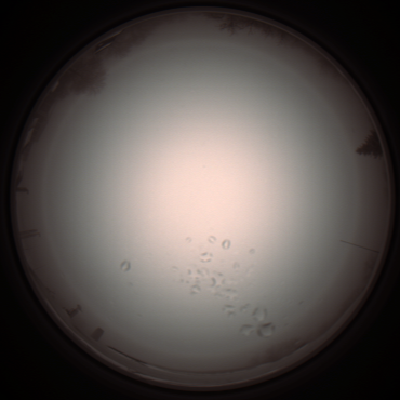 capture_202112051104_1076.Png