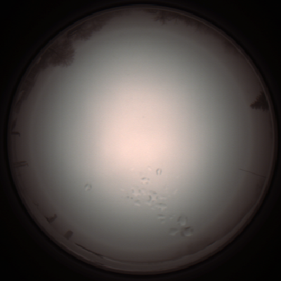 capture_202112051236_1168.Png