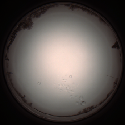 capture_202112051148_1120.Png