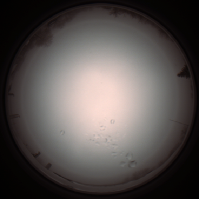 capture_202112051214_1146.Png