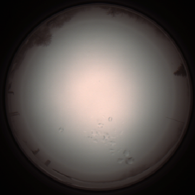 capture_202112051235_1167.Png