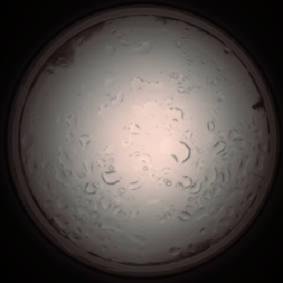 capture_202112061056_1619.Png
