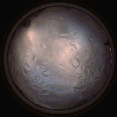 capture_202112061531_1894.Png