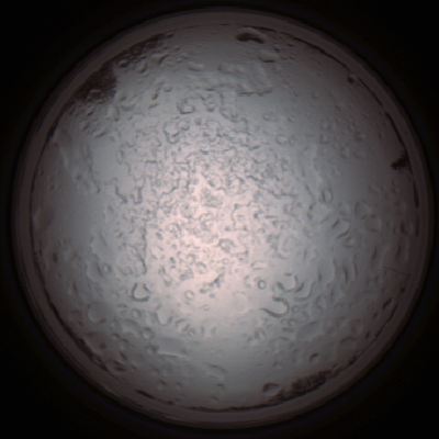 capture_202112060845_1488.Png