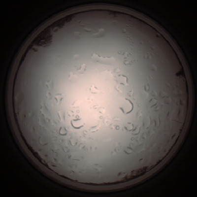 capture_202112061149_1672.Png