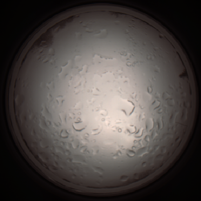 capture_202112061032_1595.Png