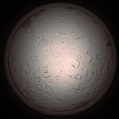capture_202112061031_1594.Png