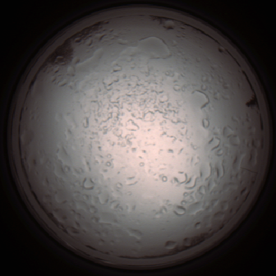 capture_202112060949_1552.Png