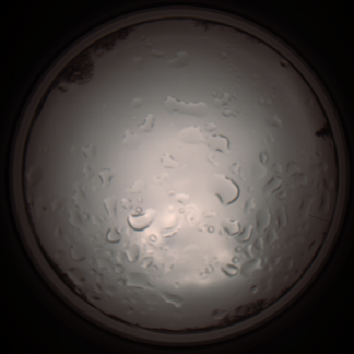 capture_202112061233_1716.Png
