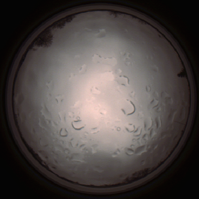 capture_202112061433_1836.Png