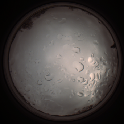 capture_202112061324_1767.Png