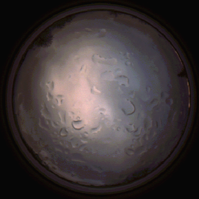 capture_202112061529_1892.Png