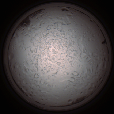 capture_202112060844_1487.Png