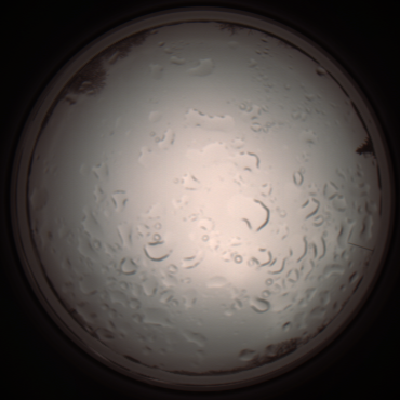 capture_202112061102_1625.Png