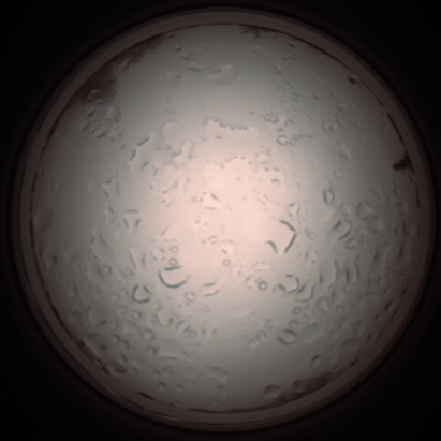 capture_202112061033_1596.Png
