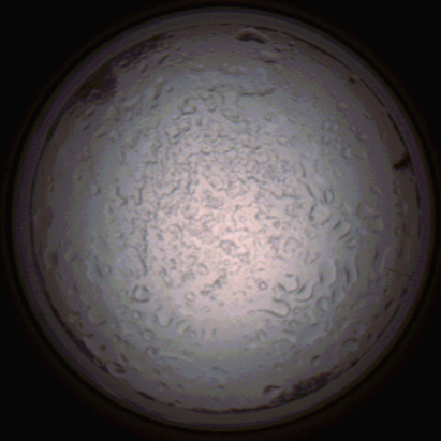 capture_202112060802_1445.Png