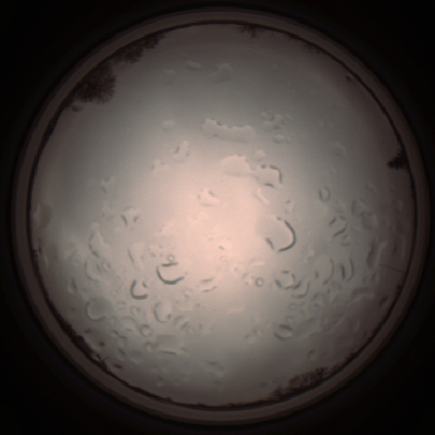 capture_202112061412_1815.Png