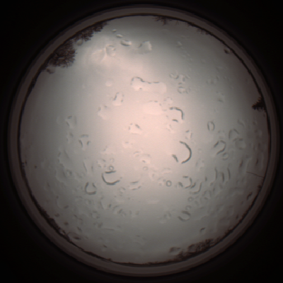 capture_202112061251_1734.Png