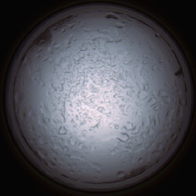 capture_202112060853_1496.Png