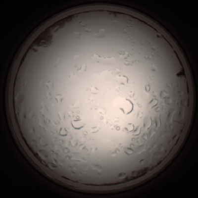 capture_202112061110_1633.Png
