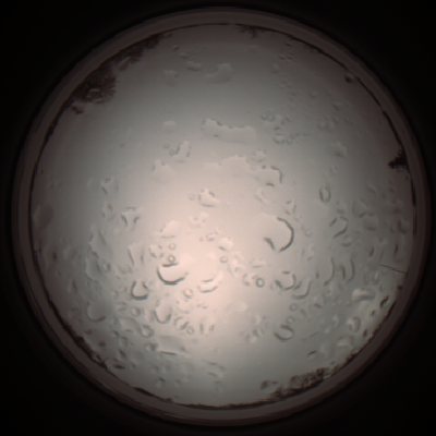 capture_202112061114_1637.Png