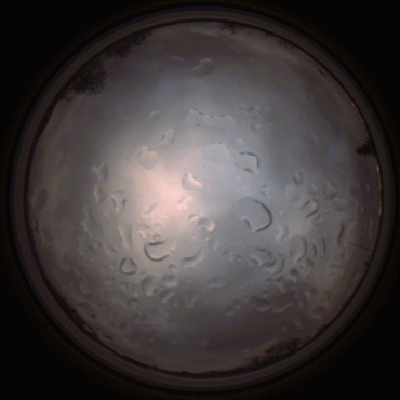 capture_202112061508_1871.Png