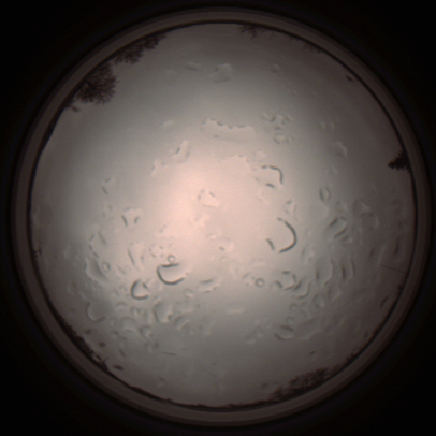 capture_202112061407_1810.Png