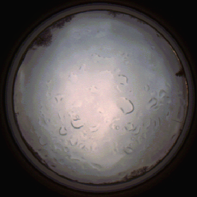 capture_202112061444_1847.Png