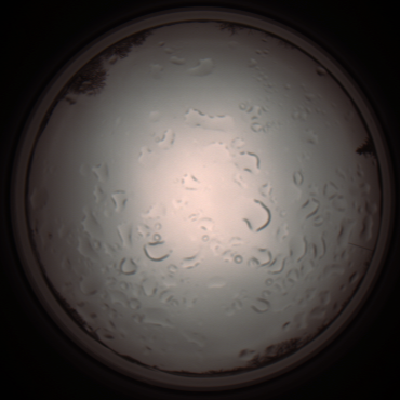 capture_202112061159_1682.Png