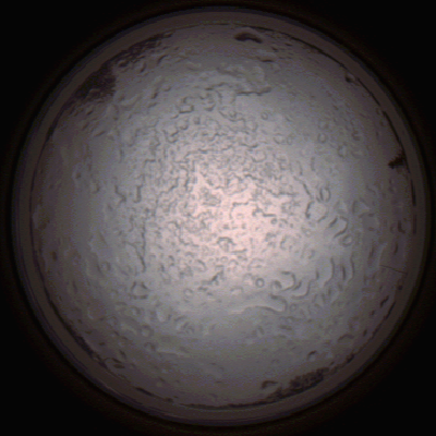 capture_202112060757_1440.Png