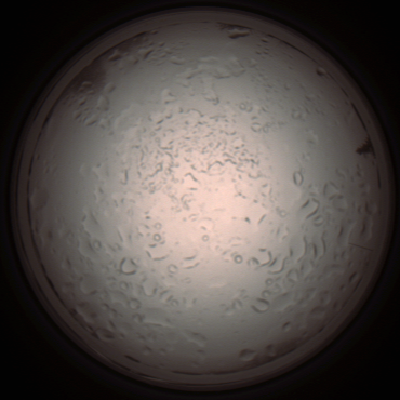 capture_202112061000_1563.Png
