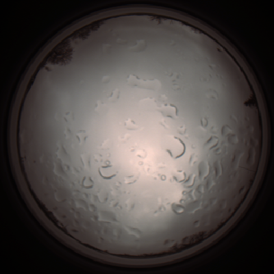 capture_202112061305_1748.Png