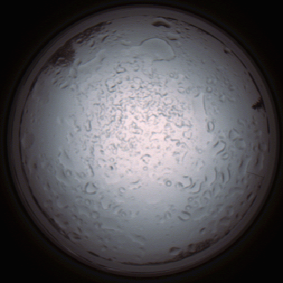 capture_202112060933_1536.Png