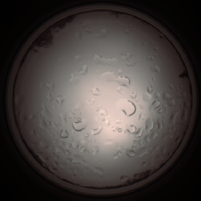 capture_202112061202_1685.Png