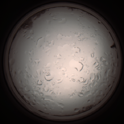 capture_202112061042_1605.Png
