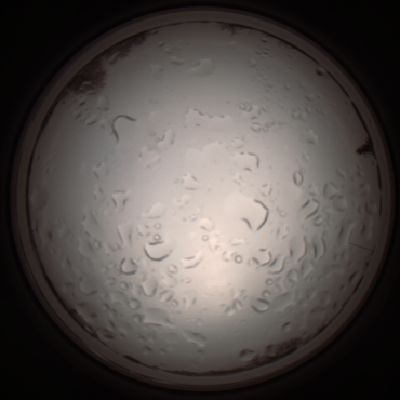 capture_202112061046_1609.Png