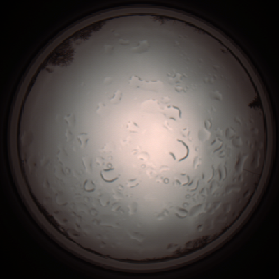 capture_202112061253_1736.Png