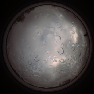 capture_202112061343_1786.Png